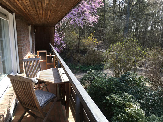 Süd-Loggia am Wohnzimmer