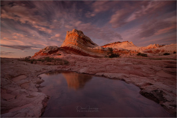 White Pocket, Utah! Surreal schöne, gewundene Steinformationen in Weiß und Orange. Ein verstecktes Juwel!