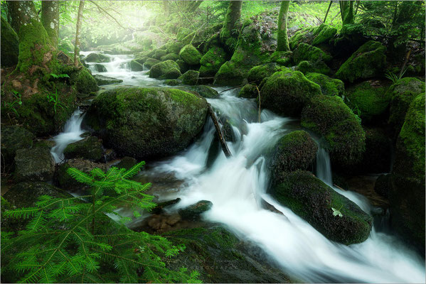 Die Geratser Wasserfälle im Oberallgäu sind ein verstecktes Naturwunder, umgeben von leuchtendem Mischwald und grünen Wiesen. Sie bieten eine magische Atmosphäre und sind ein ideales Ausflugsziel für Familien, die eine leichte Wanderung genießen möchten. 
