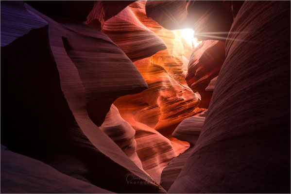 Upper und Lower Antelope Canyon in Utah & Arizona! Atemberaubende Slot Canyons, geformt durch Wasser und Wind. Ein Farbenspiel im Fels!
