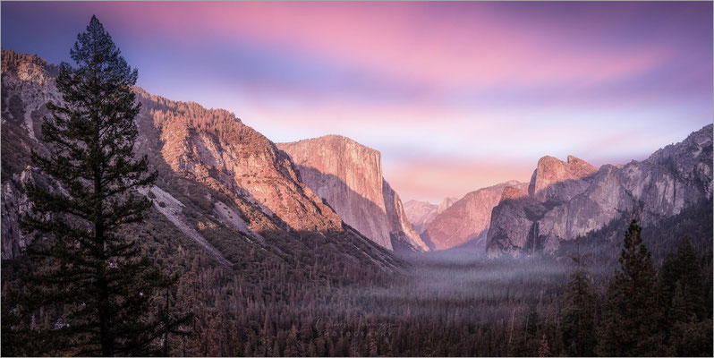Der Yosemite NP in Kalifornien! Majestätische Granitfelsen, tosende Wasserfälle und riesige Mammutbäume. Atemberaubende Naturschönheit!