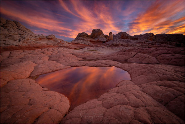 White Pocket, Utah! Surreal schöne, gewundene Steinformationen in Weiß und Orange. Ein verstecktes Juwel!