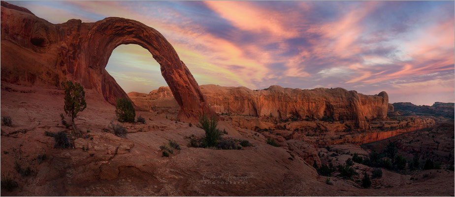 Wunderschöner Sonnenuntergang am Corona Arch im Canyonlands NP, Utah! Die untergehende Sonne färbt den Bogen rotgold. Magischer Moment!