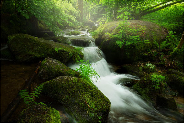Die Geratser Wasserfälle im Oberallgäu sind ein verstecktes Naturwunder, umgeben von leuchtendem Mischwald und grünen Wiesen. Sie bieten eine magische Atmosphäre und sind ein ideales Ausflugsziel für Familien, die eine leichte Wanderung genießen möchten. 