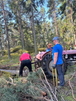 Hyvää iltaa, metsien miehet!