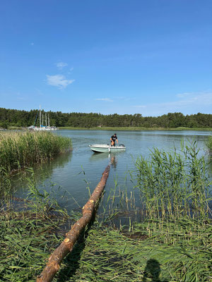 Miten puupino tehdään: tukki kerrallaan