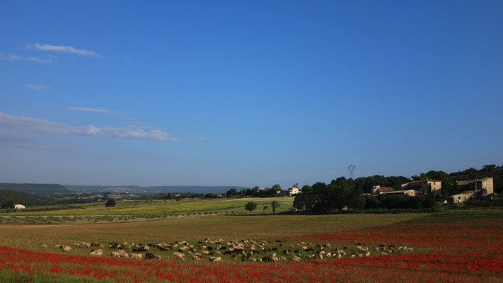 Magnifiques couleurs provençales à quelques centaines de mètres du chantier