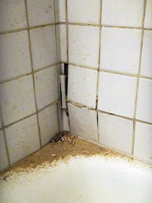 La perspirance est rendue encore plus difficile par les carreaux joints à la colle. Sous l’effet de l’humidité, le mortier-colle, gorgé d’humidité a déjointé le carrelage mural.