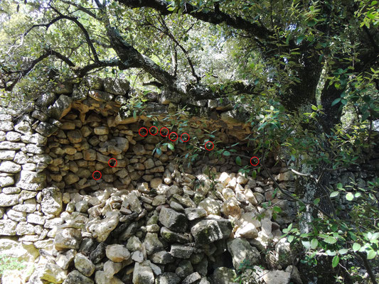 Mur de clôture, vu de l'intérieur,  à l'ouverture du chantier. Les petits ronds rouges correspondant à des vides de parement. Il n'existe plus aucune profondeur de maçonnerie de pierre. On réalise alors la fragilité du mur et le risque d'éboulement. 