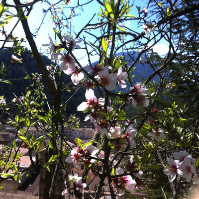 Le printemps est de retour
