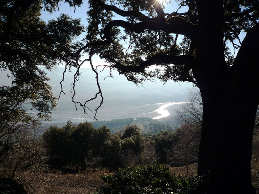 Vue sur la Durance depuis les bâtiments Sud du Monastère