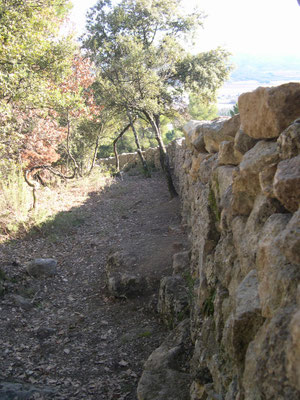 Vue du parement côté forêt