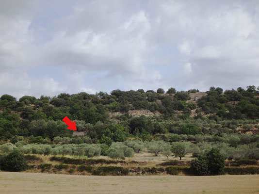 Vue de la section depuis la D 12 - route de Saint-Pons à Ganagobie