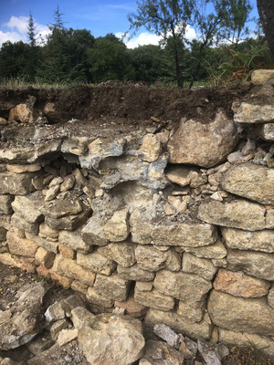 Aux premières pierres déposées, il s'avère qu'il ne s'agit pas d'un "vrai" mur en pierres sèches. Certaines parties sont maçonnées au mortier de ciment. On se demande ce que fait en haut du mur, le gros bloc calcaire (haut droit image) ?
