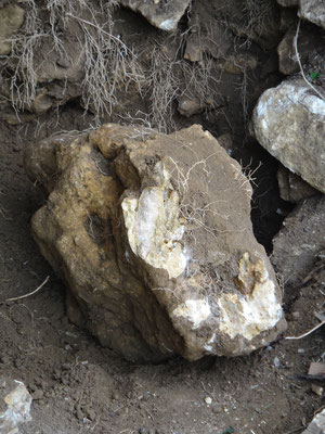 Vue d'une grosse molasse calcaire qui servira en fondation
