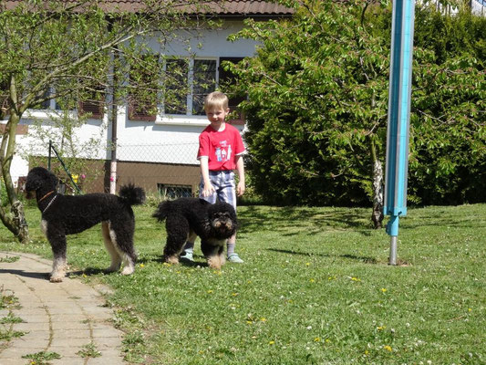 Roxy und Simba (Timmy von den glückspudeln)
