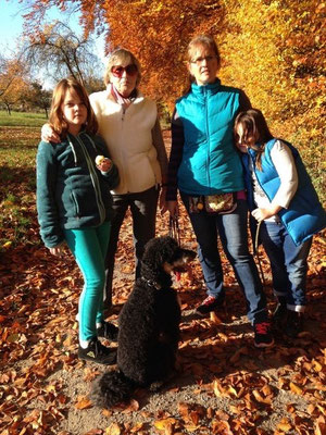Roxy beim Familienausflug im Herbst