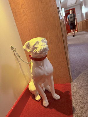 Unsere Unterkunft: Virgin Hotel Chicago.