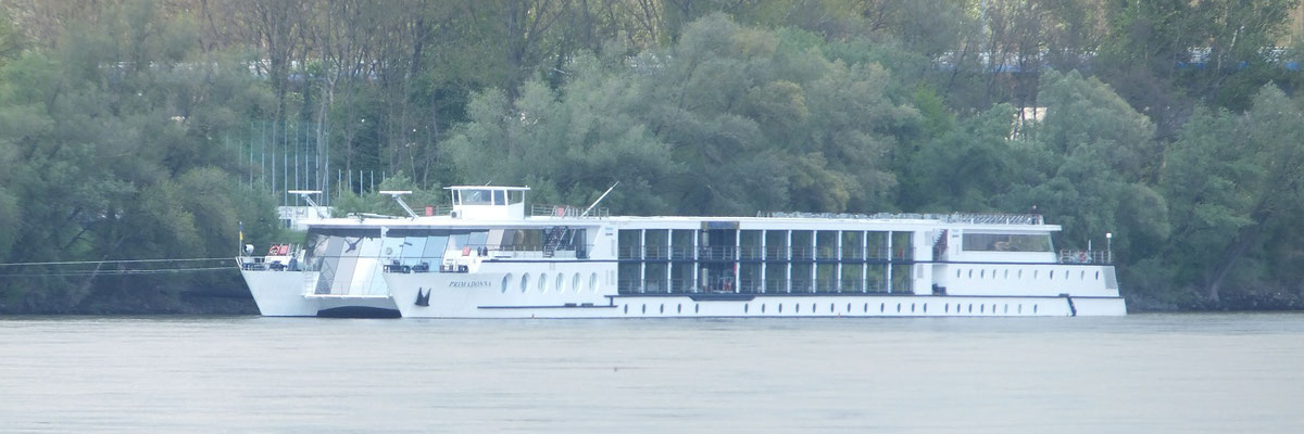 Kreuzfahrschiff Primadonna (ehemals Delphin Queen Deggendorfer Werft)