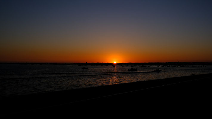 Faro