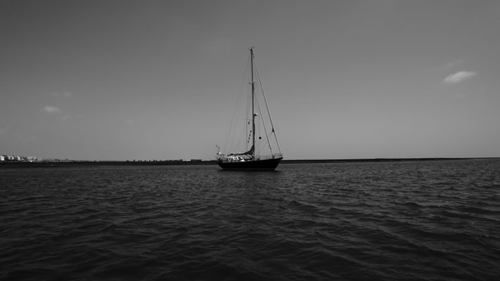Faro
