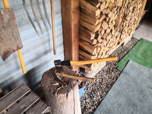Holz ist CO2 neutral - aber eine Erdsonden Wärempumpe mit Solaranlage ist besser!