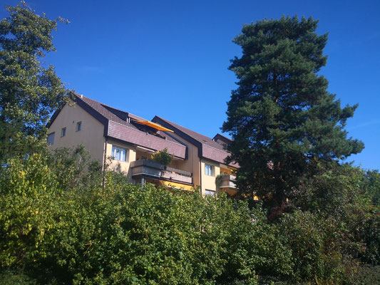 Eigentumswohnung Solothurn kaufen