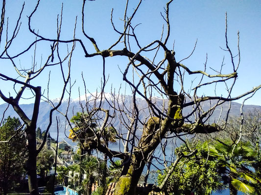 Die Sicht auf den Laggo Maggiore und die Berge