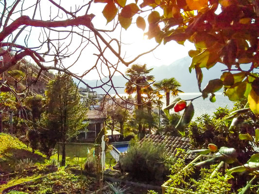 Der Garten mit Sicht auf den Lago Maggiore