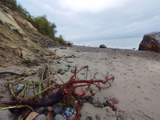 Ostseesteilküste nach der Sturmflut