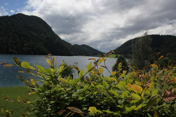 Hintersteiner See, Wilder Kaiser