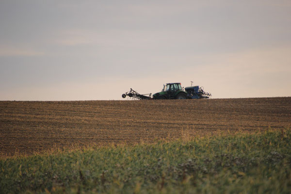 Traktor im Abendlicht