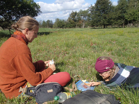 Brotzeit in der Herbstsonne