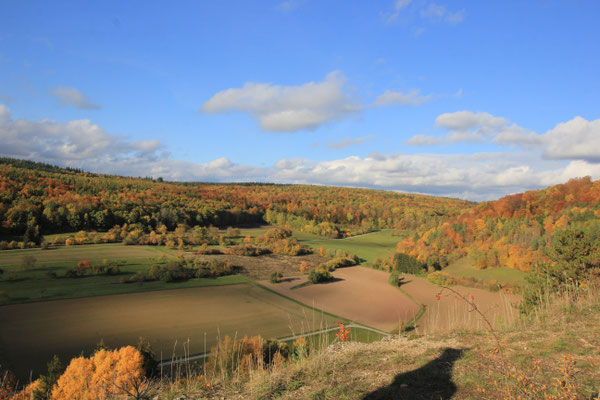 Herbstwanderung bei Ostheim