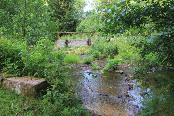 altes Stauwehr zum Flössen