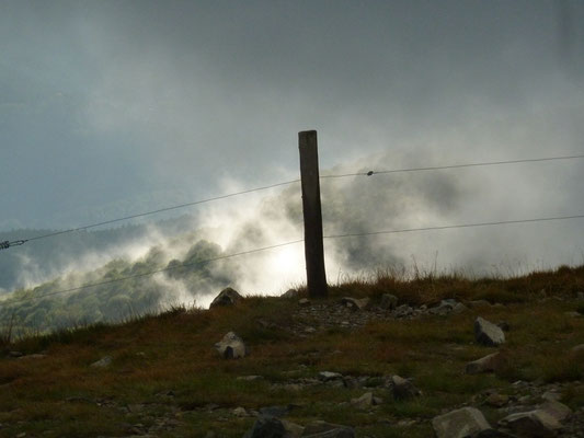 Grand Ballon 1347m Vogesen, Elsass