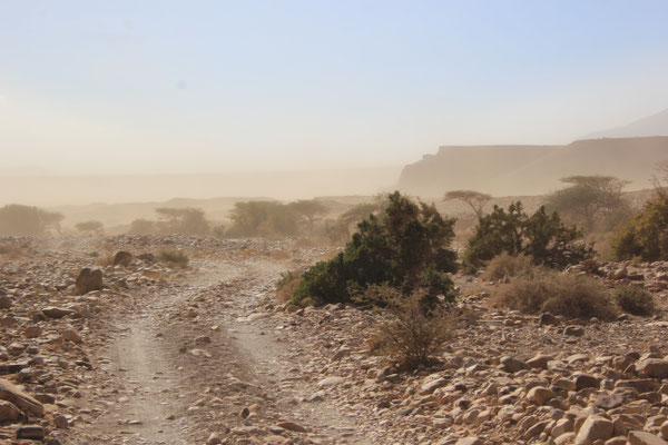 Sandsturm am 3. Stpl. Oued Draa