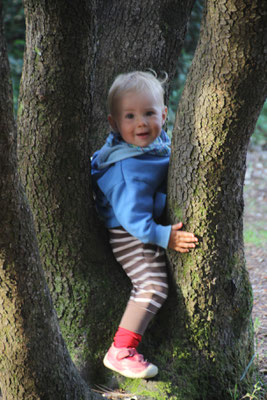 Sarah, Standplatz foret olonne