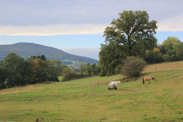 Nähe Tann/Rhön