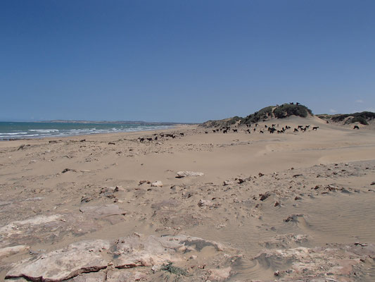 Strand Nähe Sidi Kauki