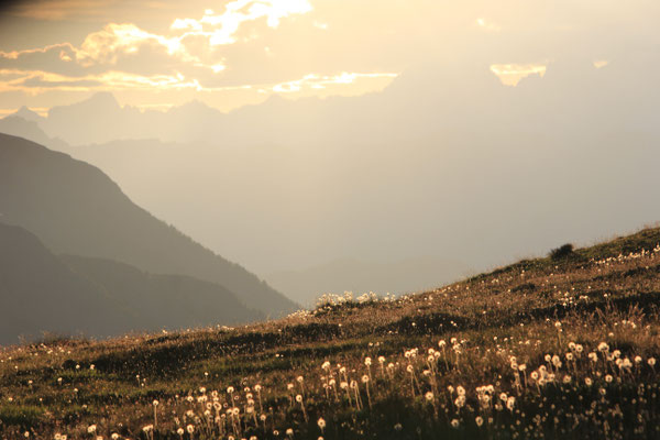 Abendstimmung Col Agnello 2700 m