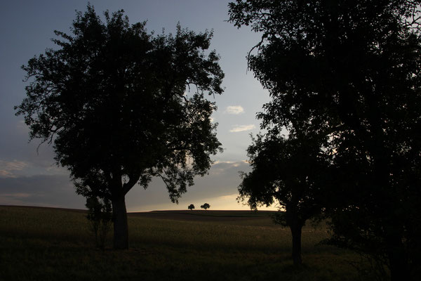 Abendstimmung Kleineichholzheim