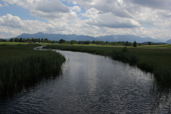 Aach Ablauf des Staffelsee