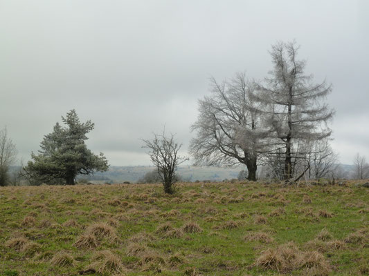 Rhön eiskalt