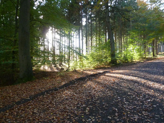 Herbststimmung im Deister