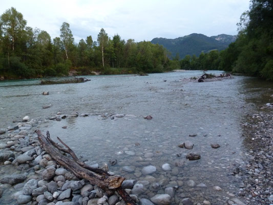 die wunderbare Isar