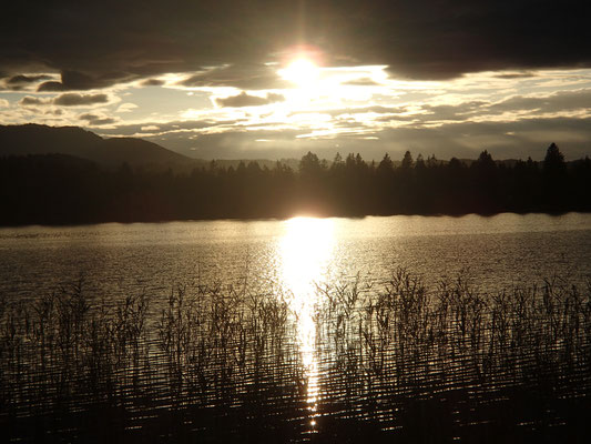 Abendstimmung Staffelsee