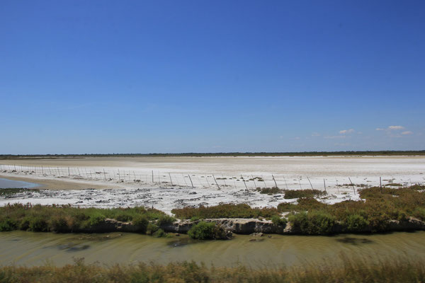 Salzsee, Camargue