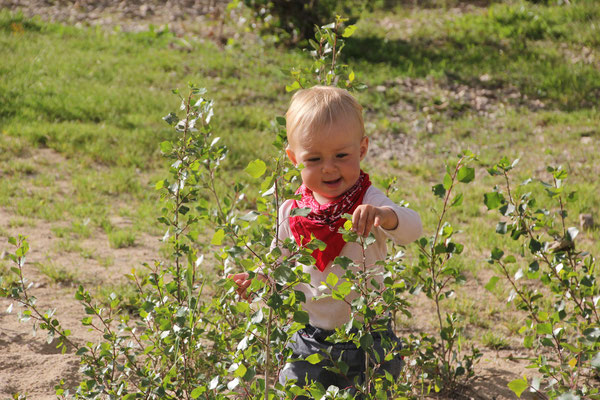 Sarah am Standplatz, Ambois