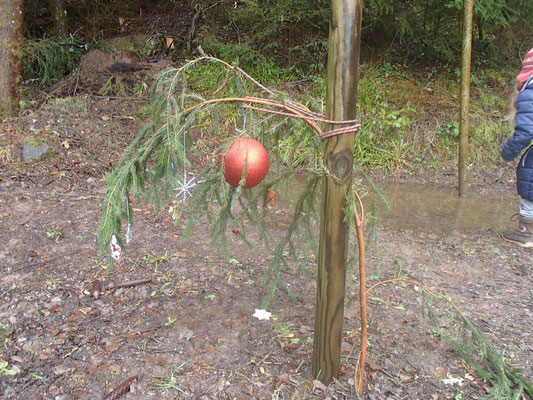 Weihnachtsbaum nach durchregneter Nacht